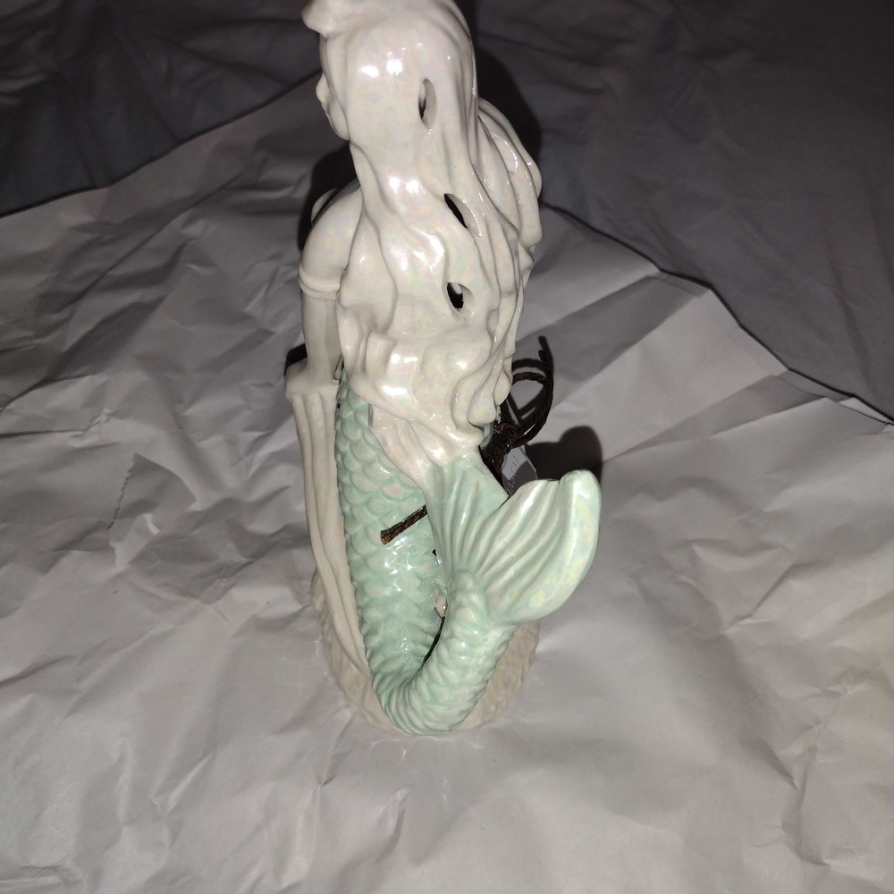 diffuser - Picture 3 of 9